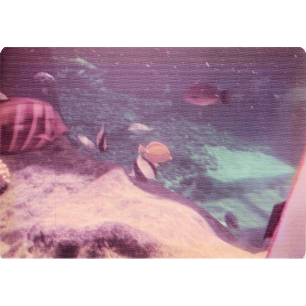 Vintage 1970s Hawaii Sea Turtle Boathouse Tour Lot of 8 Photos 3.5x5 - Picture 5 of 8
